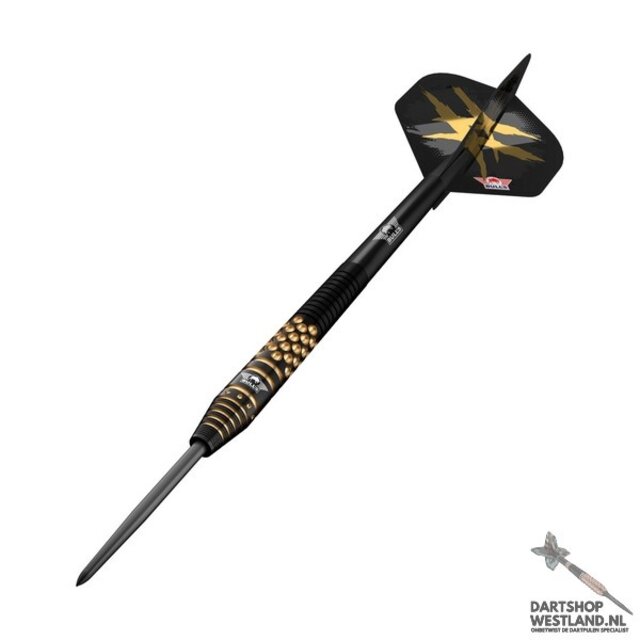 Richard Veenstra 90% E2