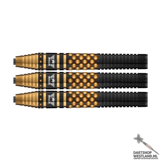 Richard Veenstra 90% E2