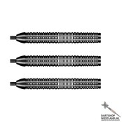 Rowby John Rodriguez Baha 90%