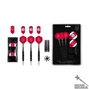 Ajax darts set