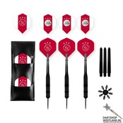 Ajax darts set