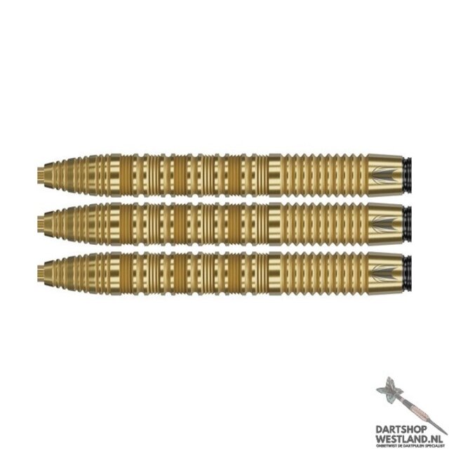 Bolide Envy 01 90% SP