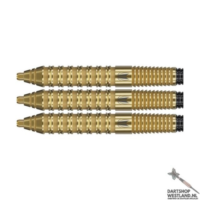 Bolide Envy 02 90% SP