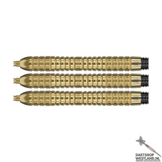 Bolide Envy 04 90% SP