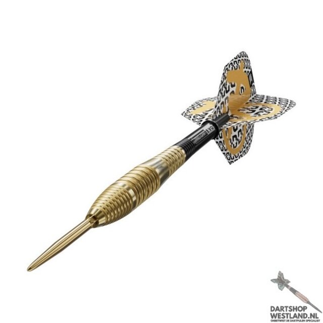 Bolide Envy 05 90% SP