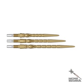 Signature Swiss Points TRB Gold