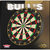 Advantage 8 Professional Dartboard