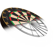 Advantage 8 Professional Dartboard