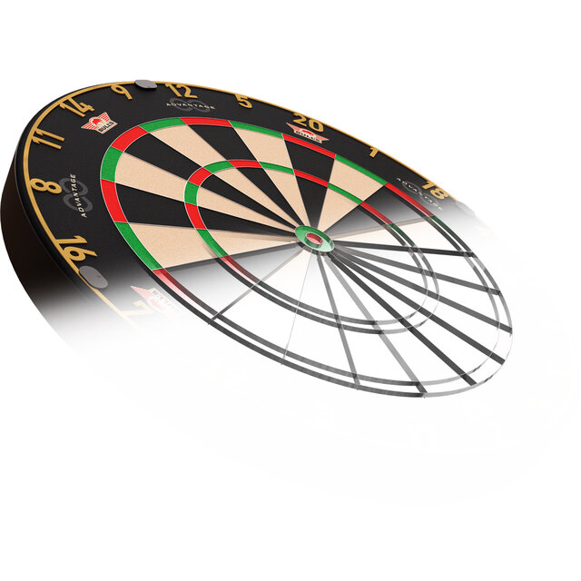 Advantage 8 Professional Dartboard