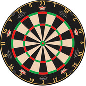 Advantage 8 Professional Dartboard
