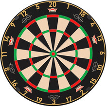Advantage 8 Professional Dartboard