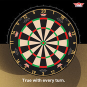 Advantage 8 Professional Dartboard