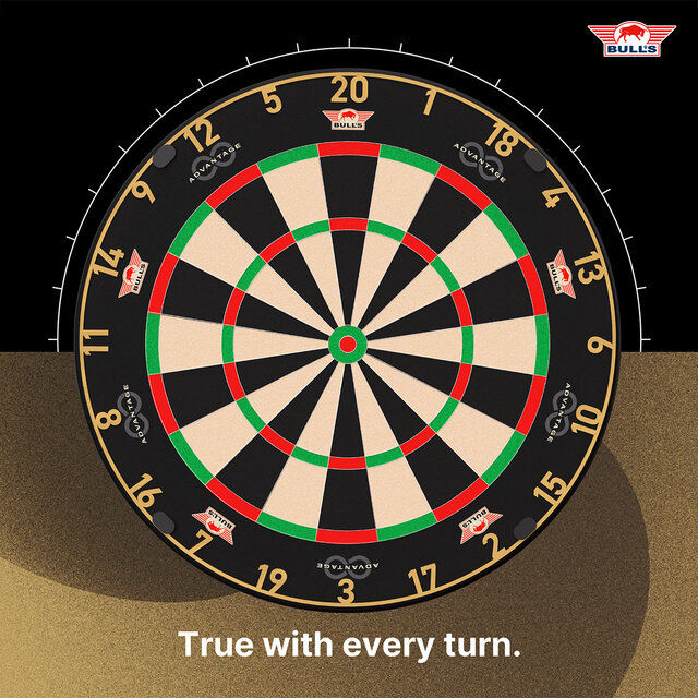 Advantage 8 Professional Dartboard