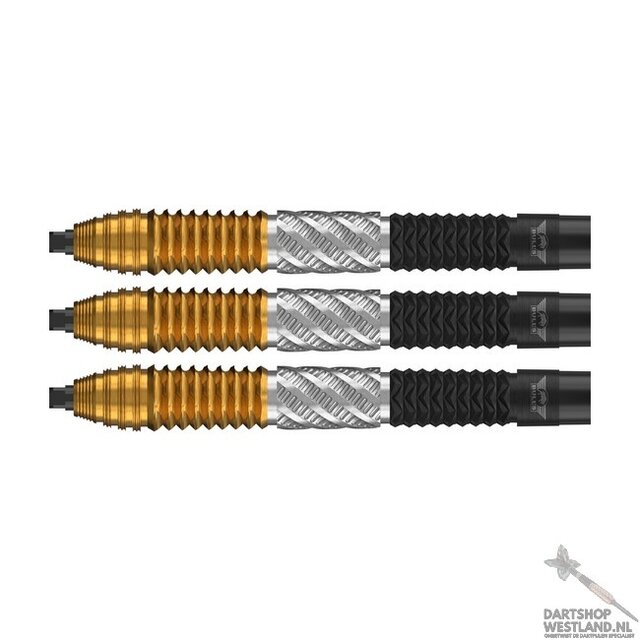 Dirk van Duijvenbode 95% CP Steeltip