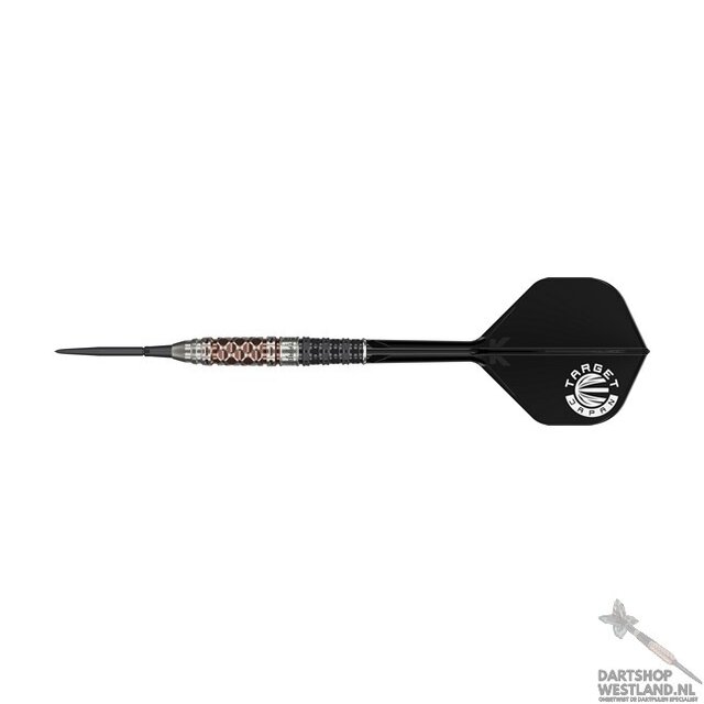 CHARIS GEN 6 90% SP STEEL TIP DARTS