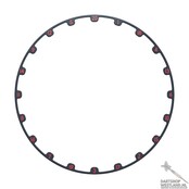 Tor EVO Dartboard