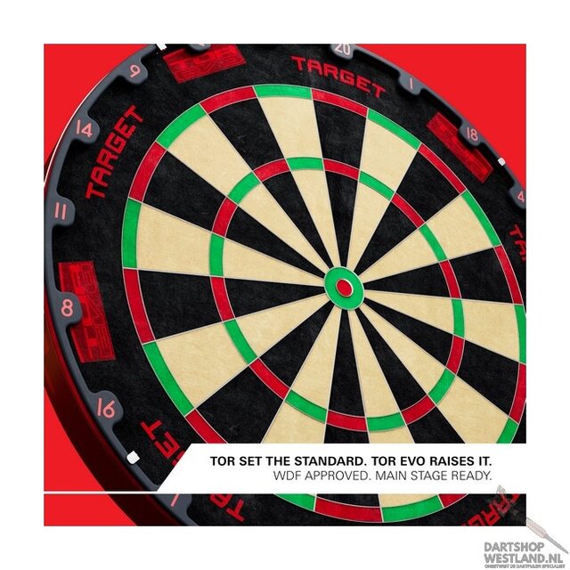 Tor EVO Dartboard