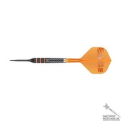 Raymond van Barneveld 95K 95% SP