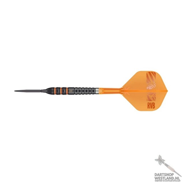 Raymond van Barneveld 95K 95% SP