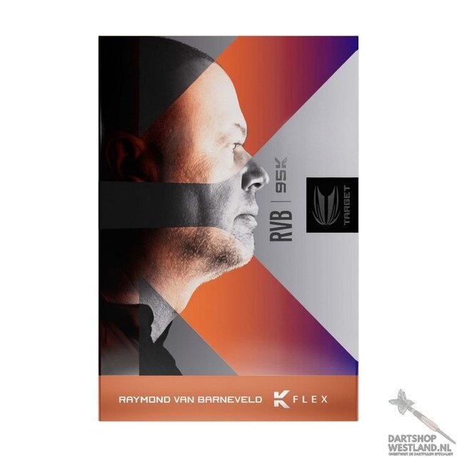 Raymond van Barneveld 95K 95% SP