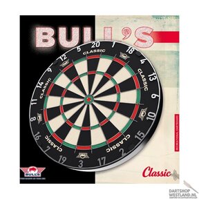 Classic Dartboard