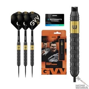 Gian van Veen SE Brass steeltip dartpijlen