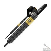 Gian van Veen SE Brass steeltip dartpijlen