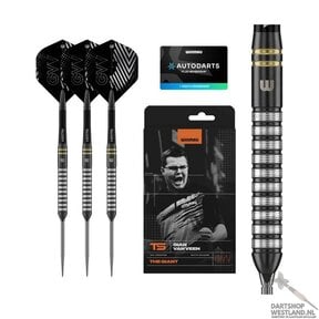 Gian van Veen TS 90% Switch Point steeltip dartpijlen