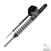 Gian van Veen TS 90% Switch Point steeltip dartpijlen