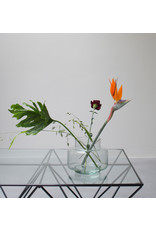 UNC Amsterdam Transparent Flower Vase