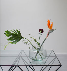 UNC Amsterdam Transparent Flower Vase