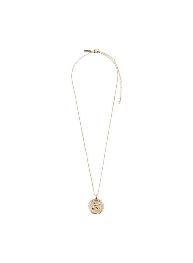 Aquarius horoscoop ketting goud