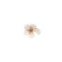 Les Néréides Japanese white cherry blossom and petals adjustable ring