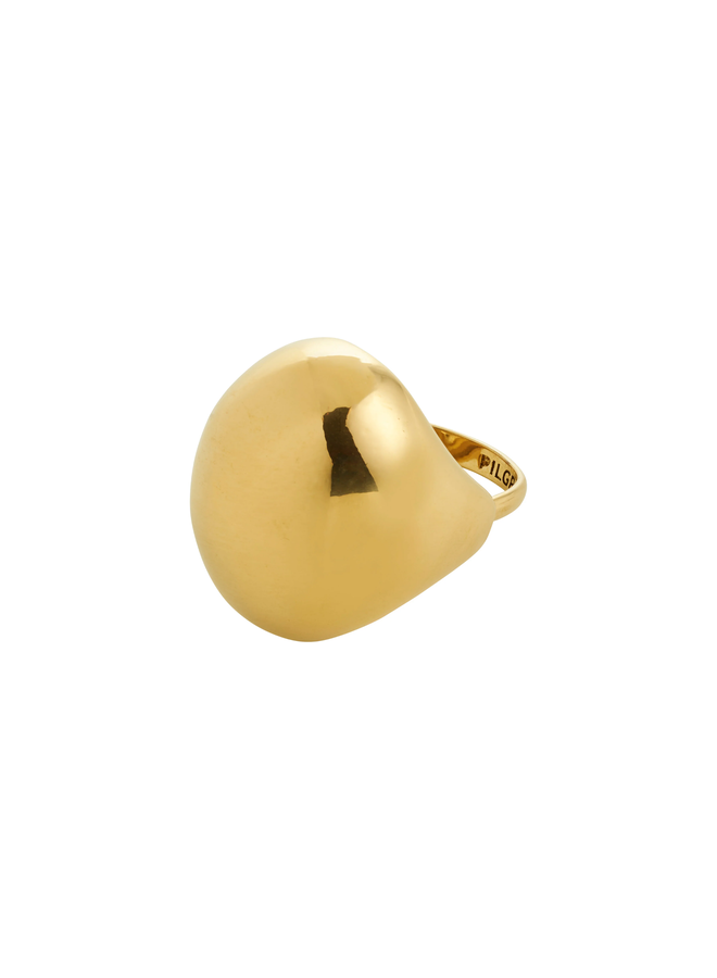 Pilgrim JAMESON ring gold-plated