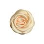 Pico Small Satin Rose Claw Butter Yellow