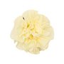 Pico Swirl Scrunchie Butter / Geel