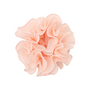 Pico Swirl Scrunchie Powder / Licht Roze