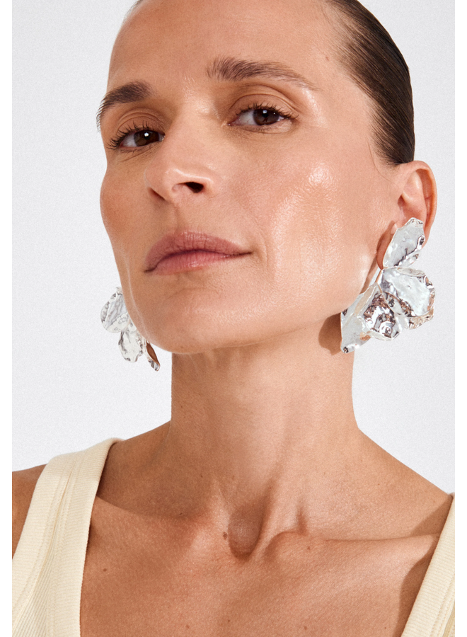 Pilgrim VIREL earrings silver-plated