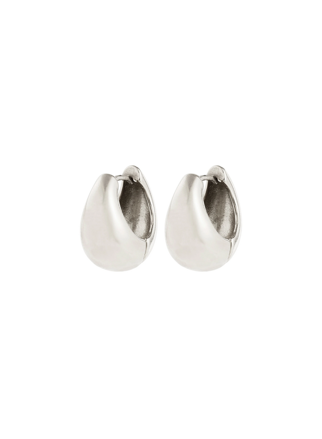 Pilgrim BRAXTYN earrings silver-plated