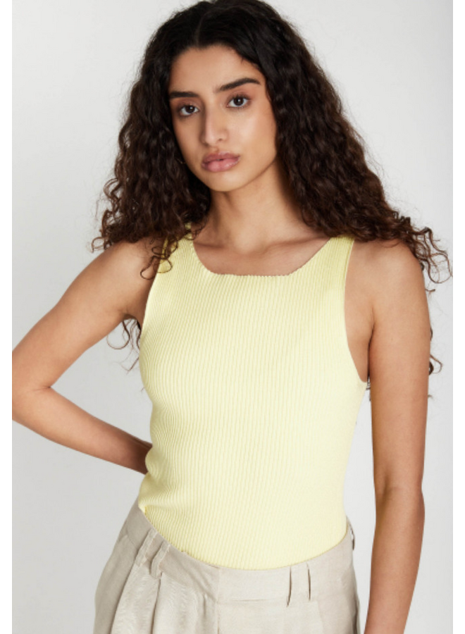 Bruuns Bazaar Anemone Diti Knit Top Lemon