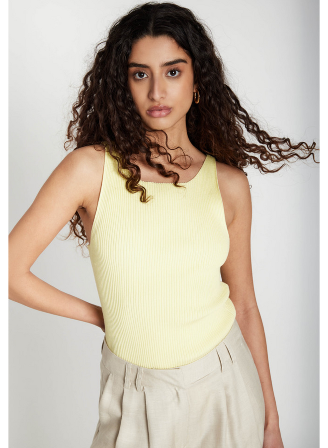 Bruuns Bazaar Anemone Diti Knit Top Lemon