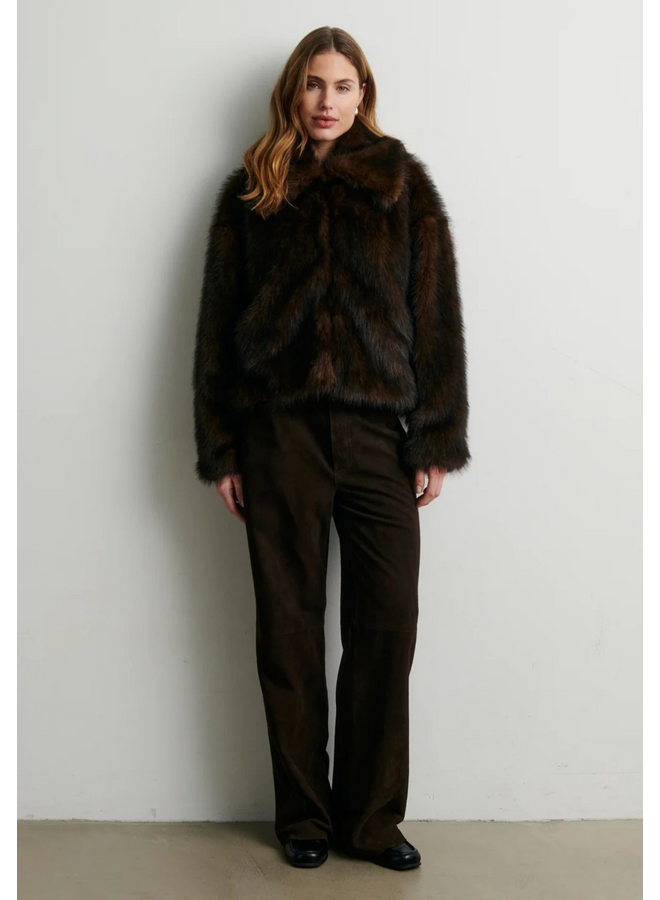 Second  Female Plaza Jacket Demitasse