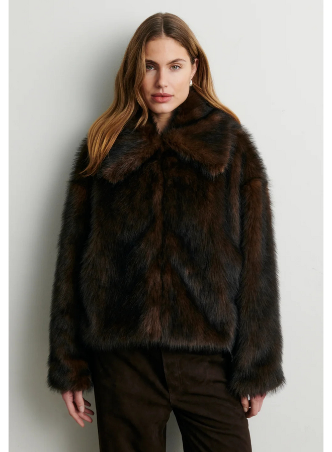 Second  Female Plaza Jacket Demitasse