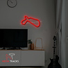 Neon Tracks Willow Springs International Raceway - VS Neon Tracks Willow Springs International Raceway - VS