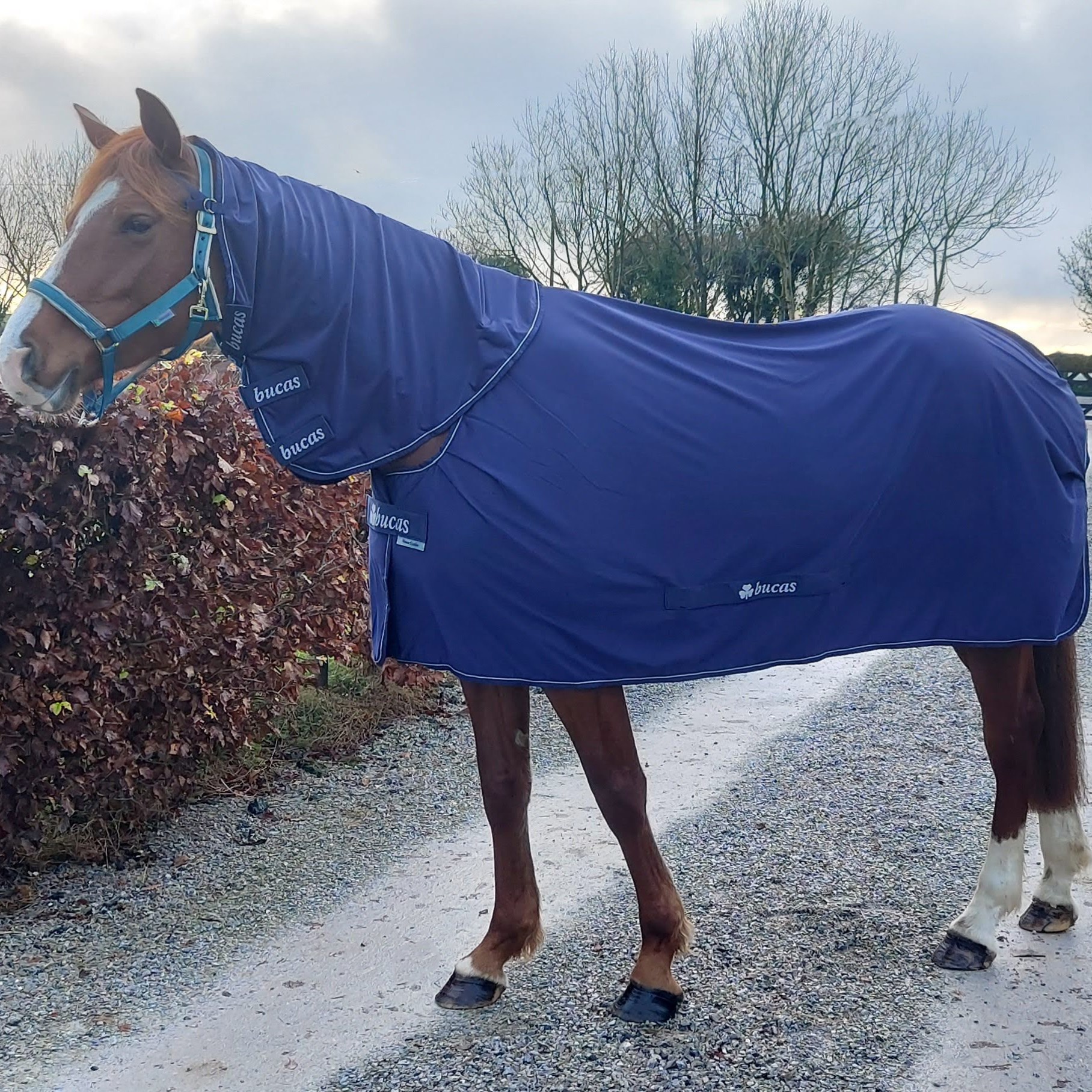 Cache-cou Bucas Power Combo 300 Pour Cheval - Imperméable, Respirant, Rembourrage 300g, Couleur Argenté