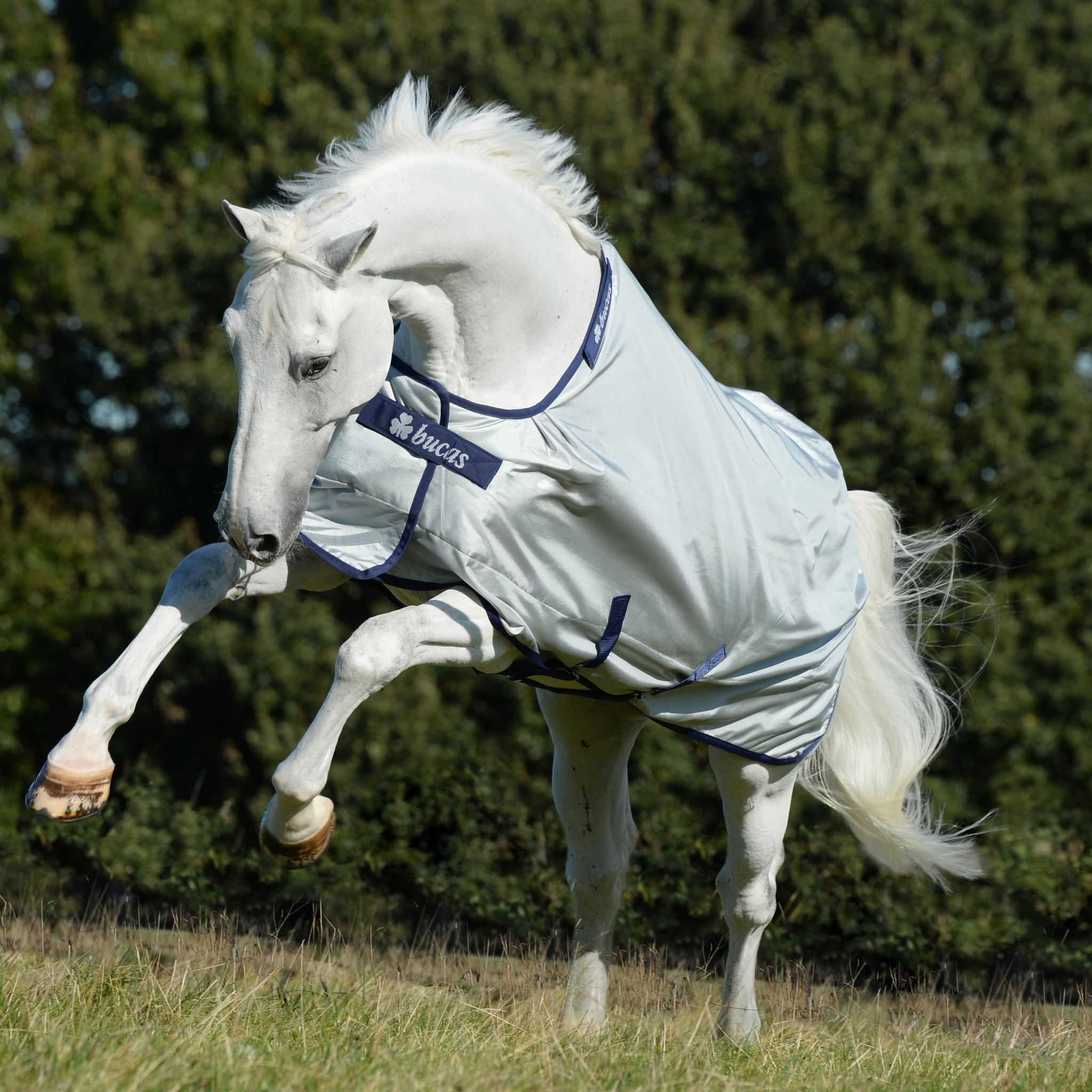 Bucas Power Turnout Medium High Neck