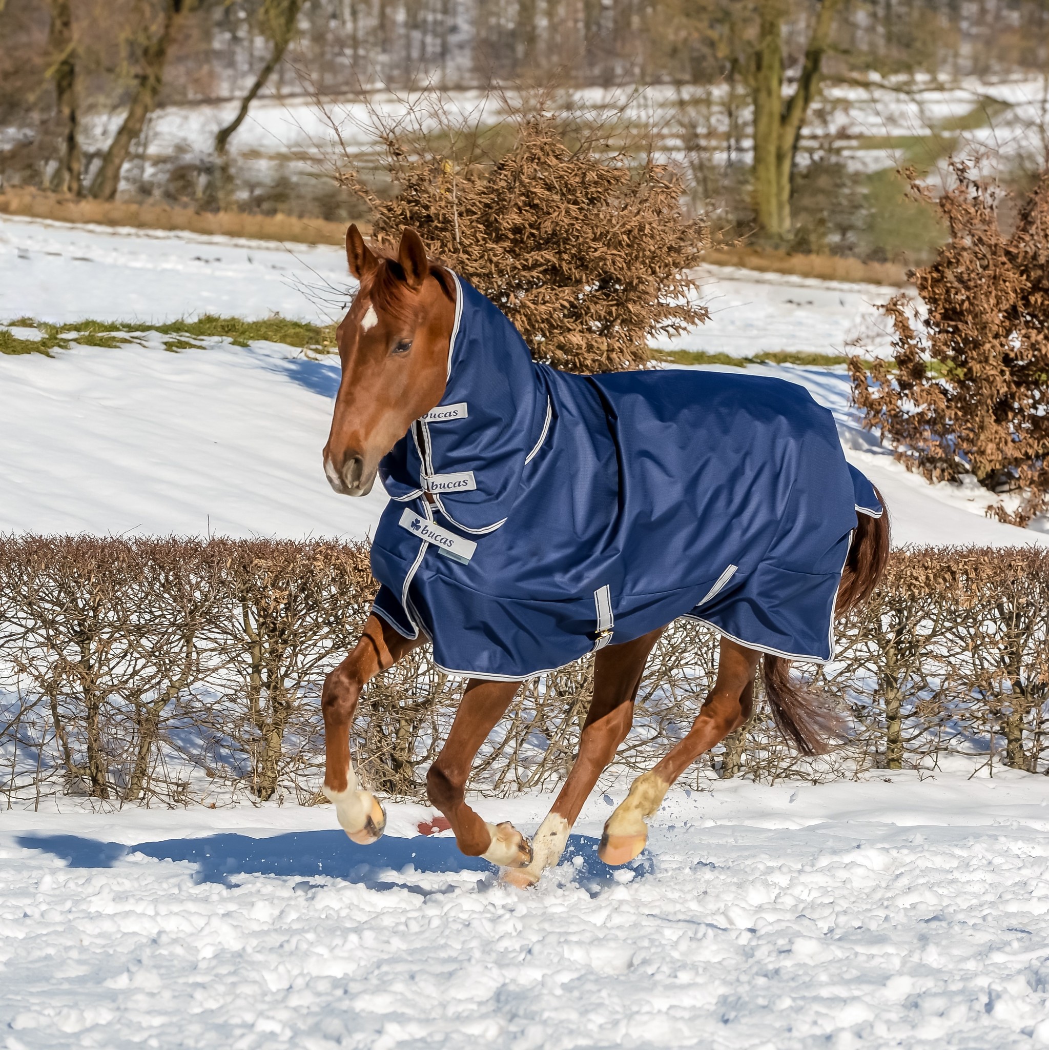 Bucas Freedom Turnout 140 Paardendeken 150g, Navy/Zilver