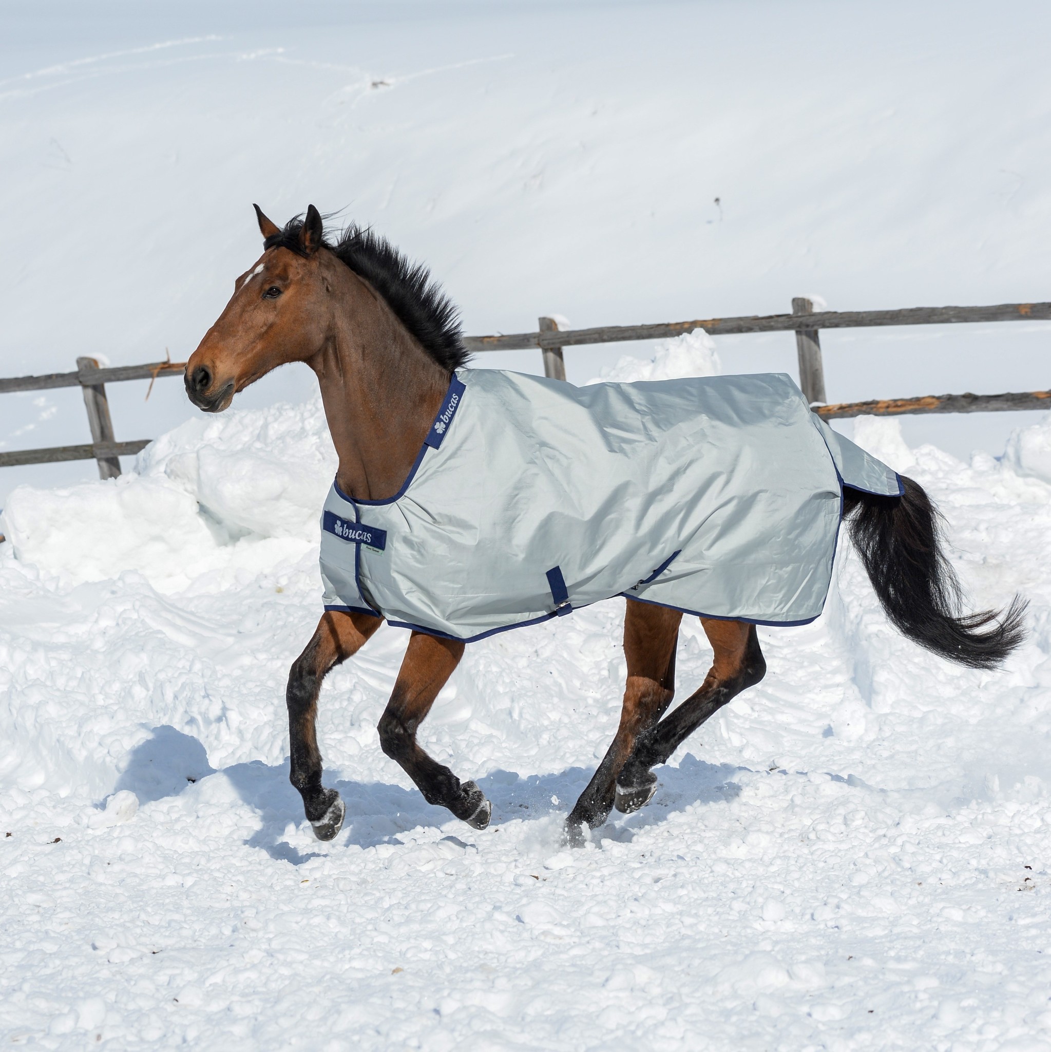 Bucas Power Turnout High Neck