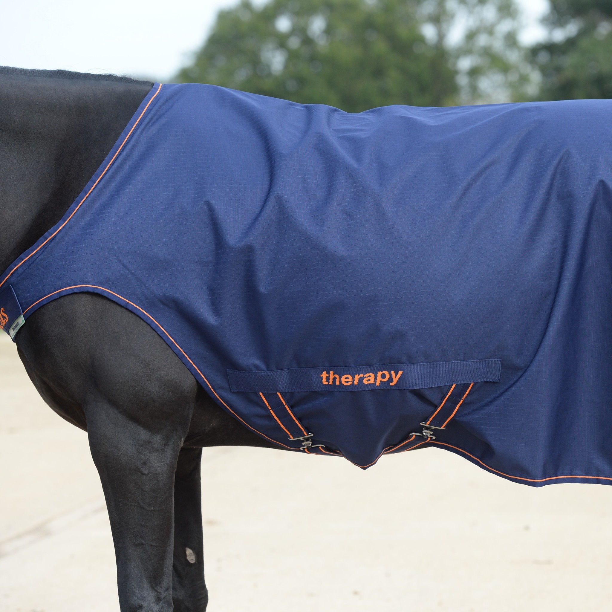 Bucas Therapy Walker, Navy/Orange Bucas