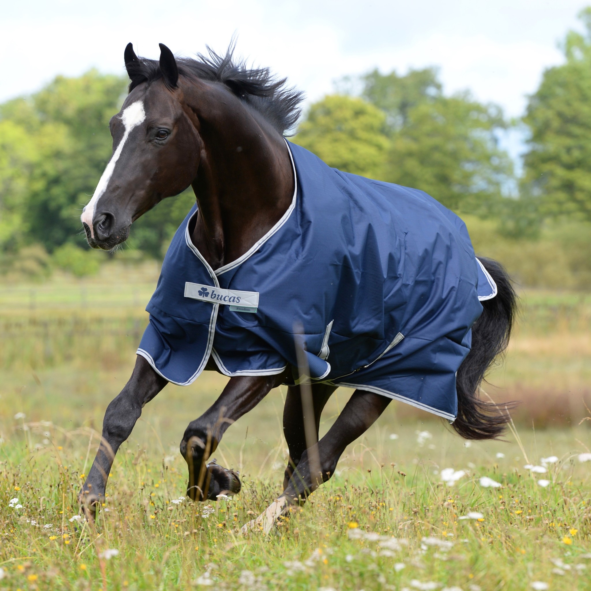 bucas Outdoordecke Freedom Turnout Light Pony - Regendecken ohne Füllung - - Passion bucas Outdoordecke Freedom Turnout Light Pony - Regendecken ohne Füllung - - Passion
